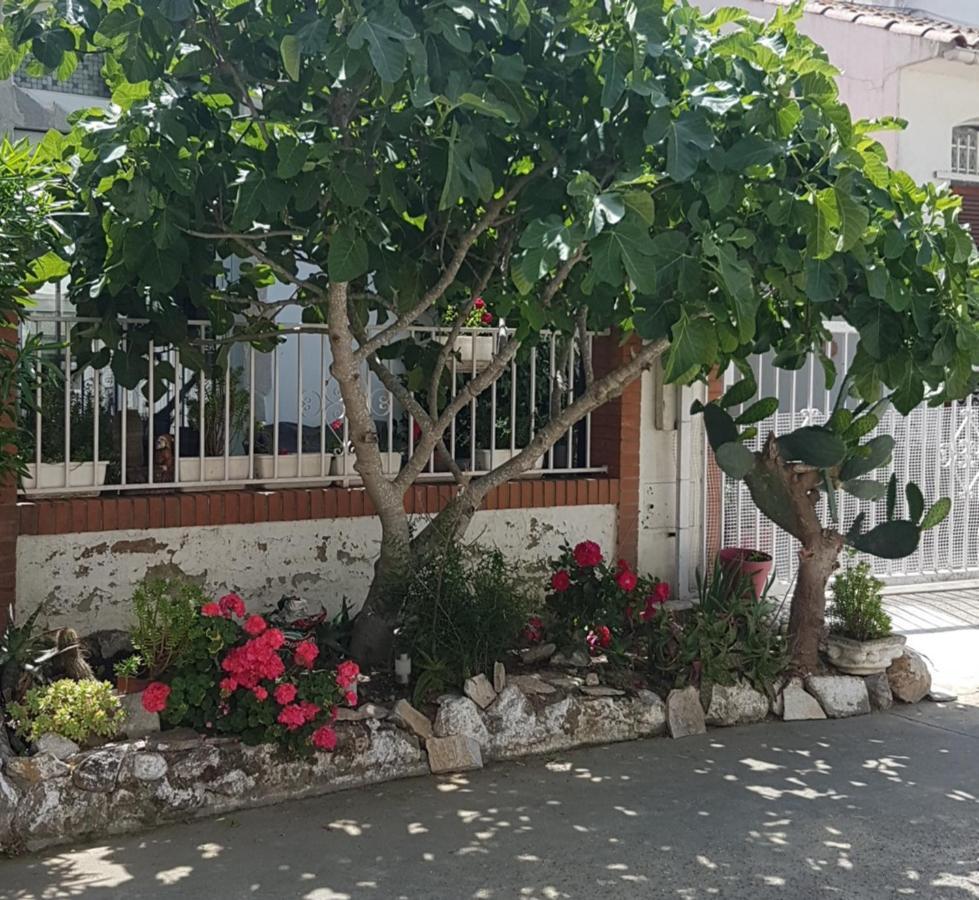 Maison De Vacances A Empuriabrava "Oasis" Βίλα Εξωτερικό φωτογραφία